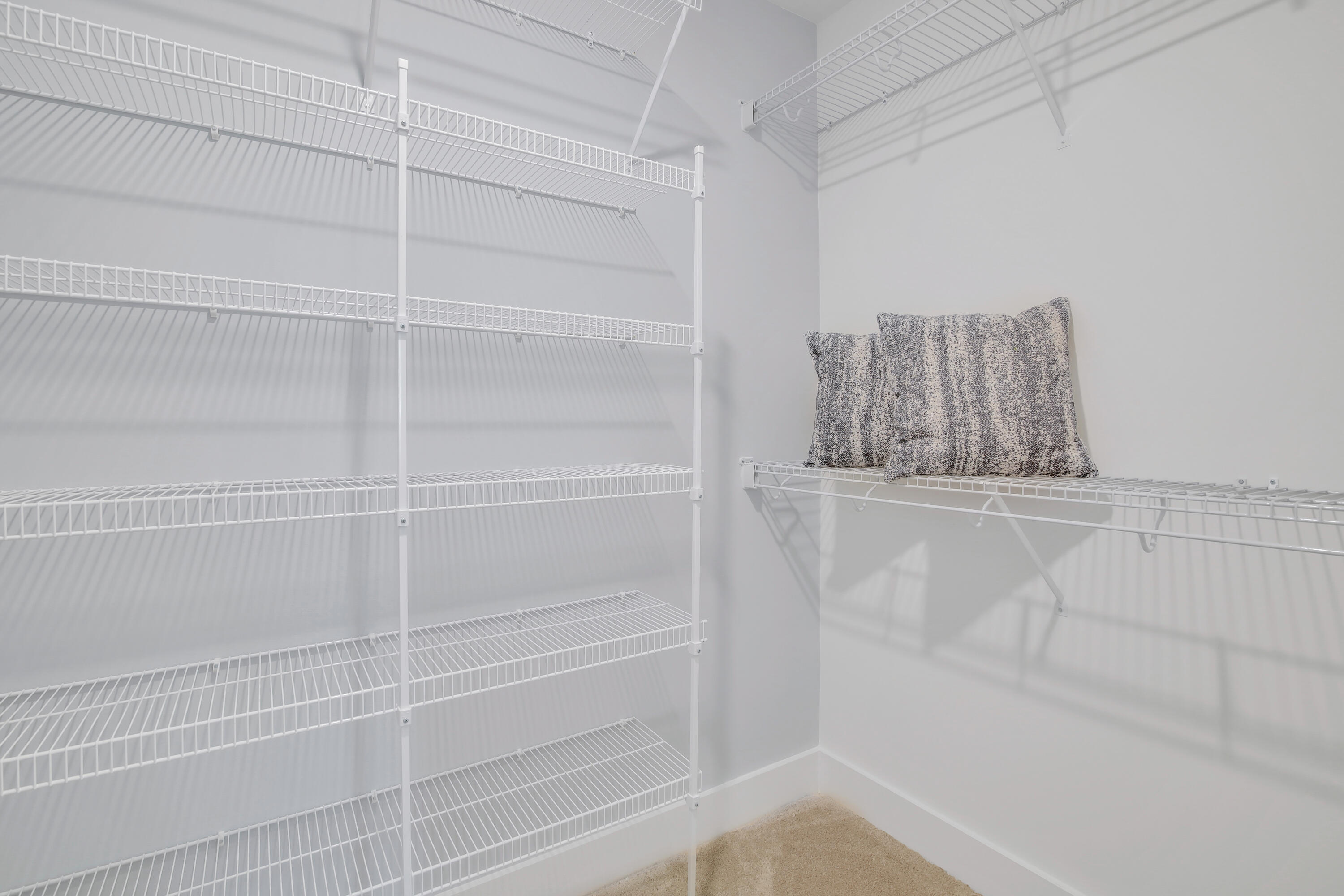 463 Rowley Lane Summerville, SC 29486 - Photo 26 of 51 Primary Closet 2