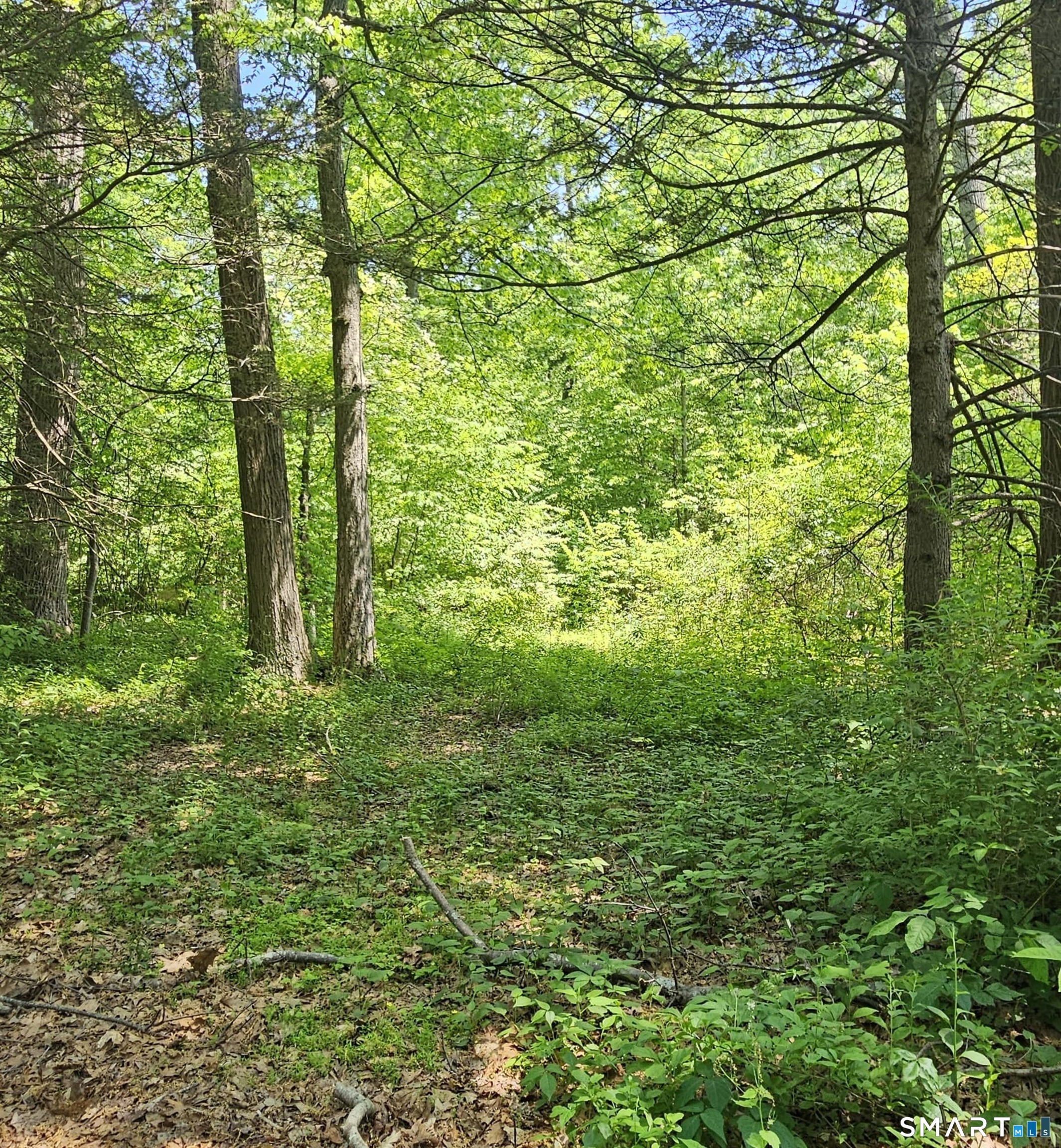 70 Hiram Hill Road Monroe, CT 06468 - Photo 8 of 12 a view of outdoor space and trees