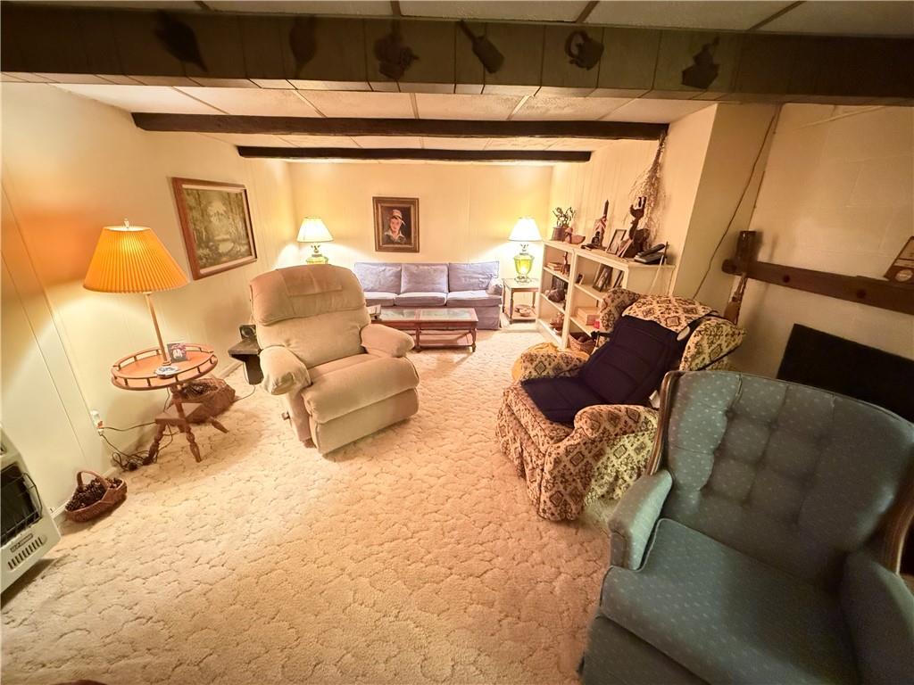 123 Hadley Road Greenville, PA 16125 - Photo 44 of 50 LOWER LEVEL