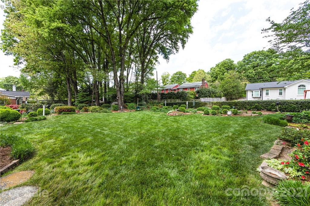 3216 Ferncliff Road Charlotte, NC 28211 - Photo 44 of 47 a view of backyard with outdoor seating and green space