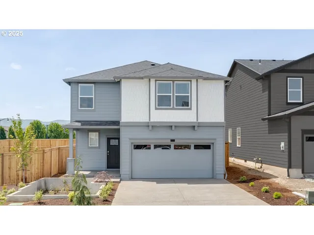 a black and white photo of a house