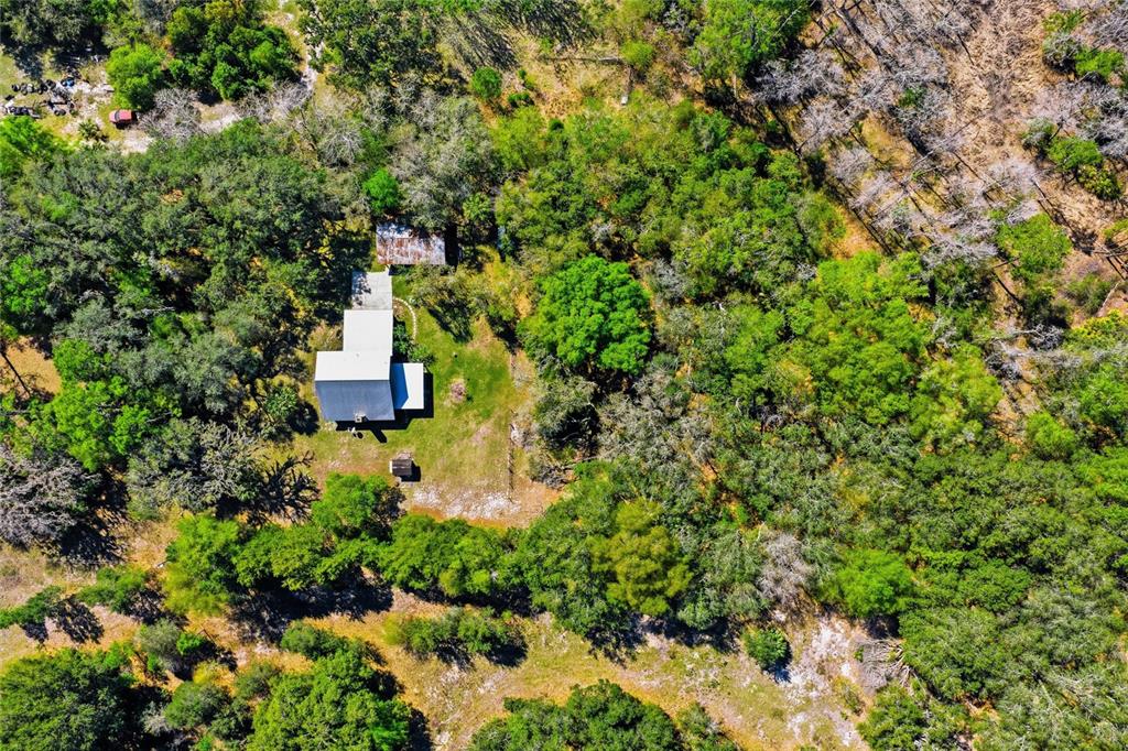 596 Highway 20 Palatka, FL 32177 - Photo 18 of 49 a view of a house with a tree