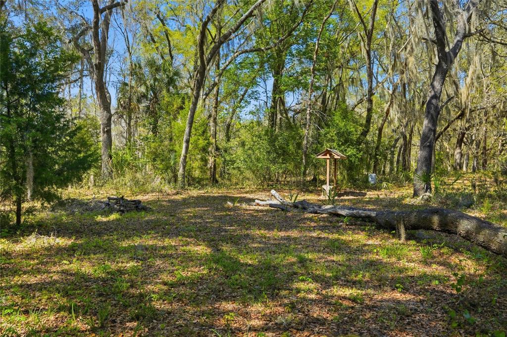 596 Highway 20 Palatka, FL 32177 - Photo 21 of 49 a view of a yard with swimming pool