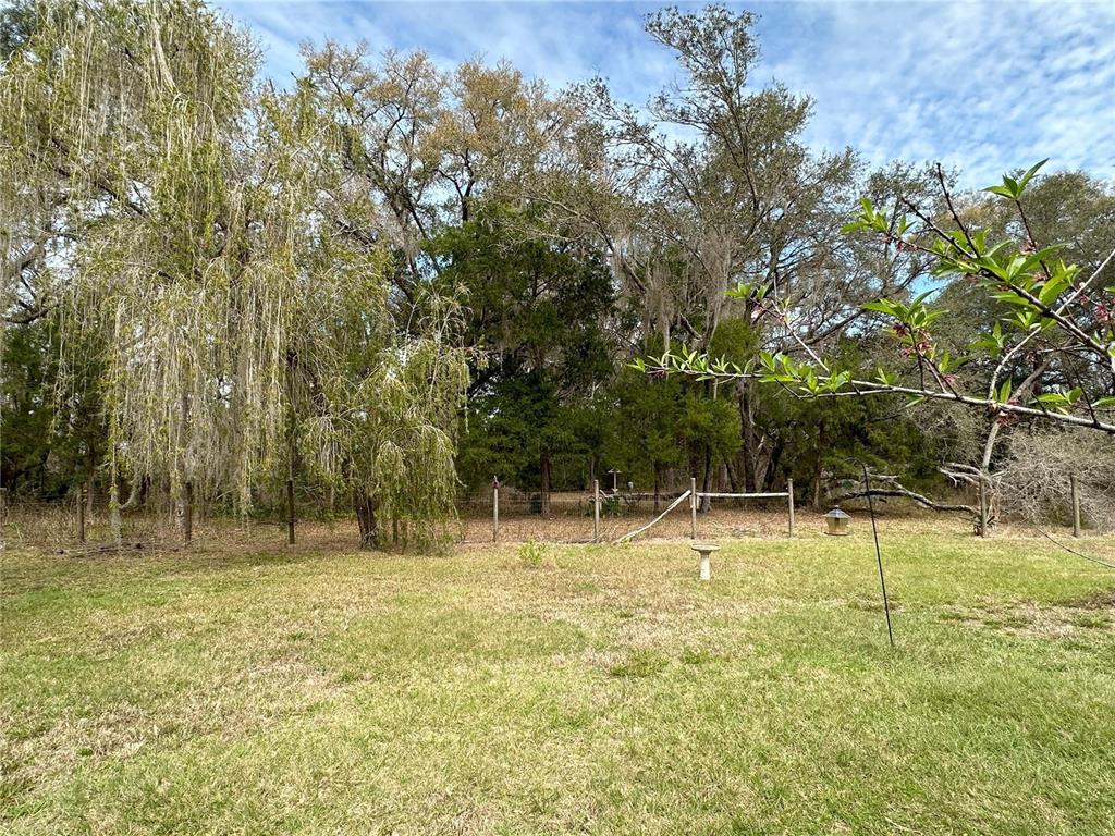 596 Highway 20 Palatka, FL 32177 - Photo 22 of 49 a backyard of a house with lots of green space