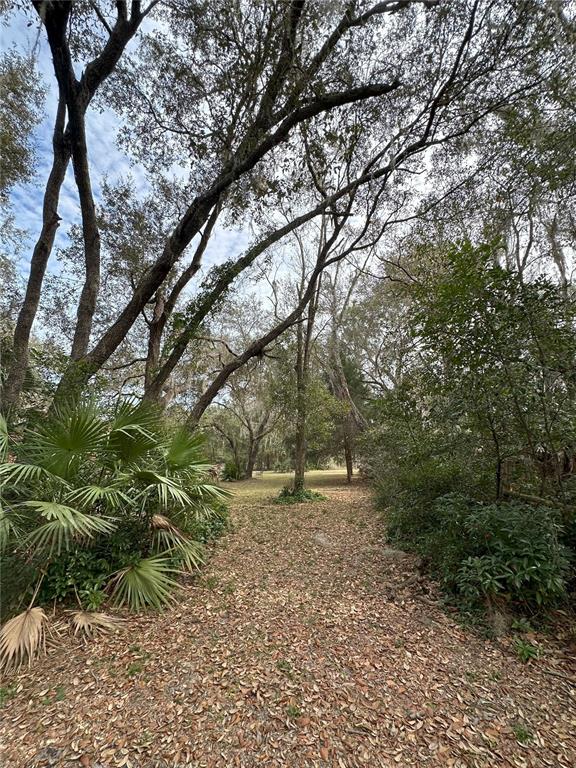 596 Highway 20 Palatka, FL 32177 - Photo 25 of 49 a backyard of a house with lots of green space