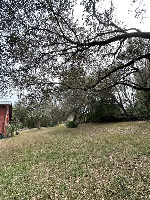 596 Highway 20 Palatka, FL 32177 - Photo 26 of 49 a view of a yard with a tree