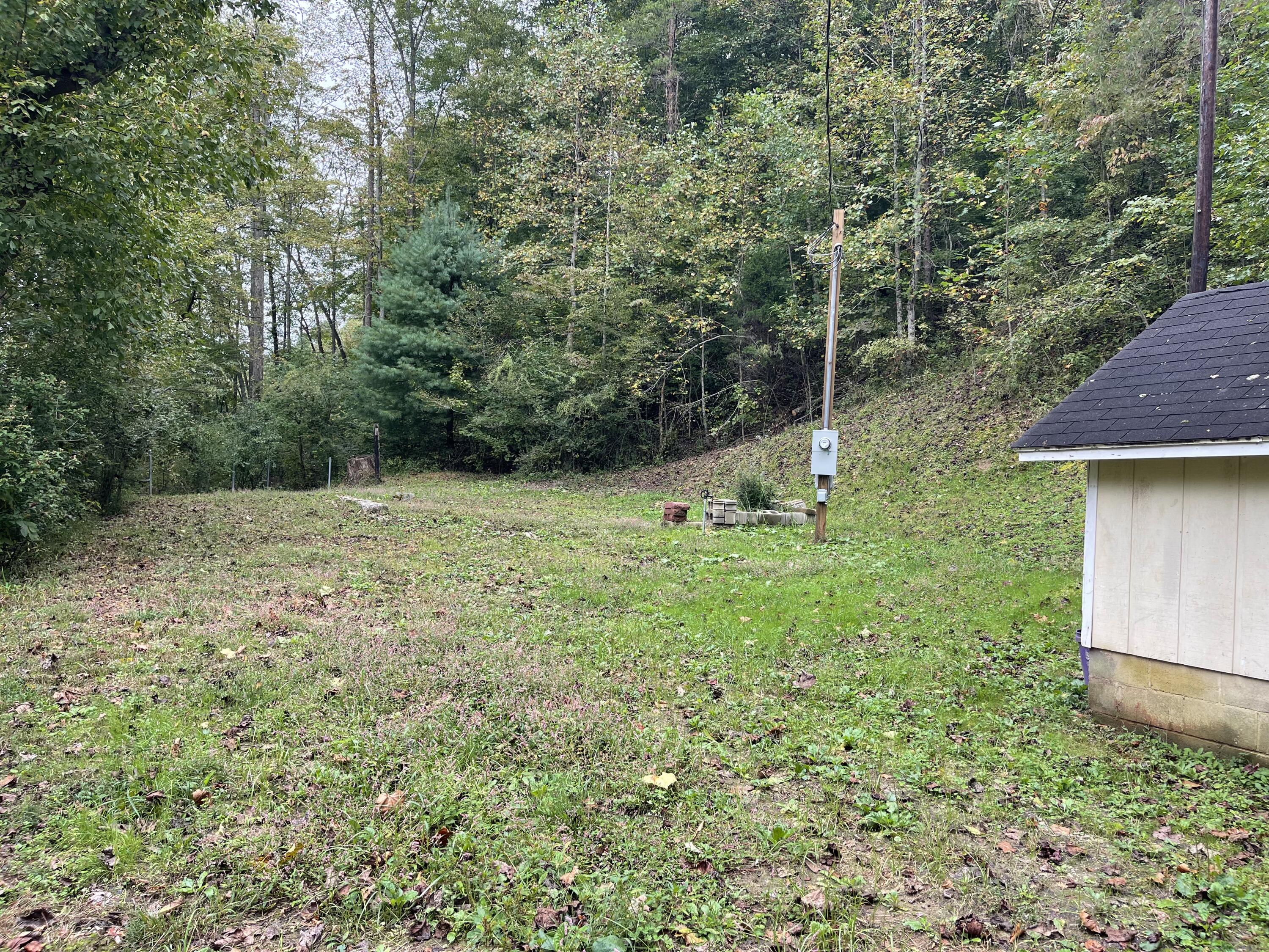 310 Sims Fork Road Arjay, KY 40902 - Photo 1 of 11 IMG_2827