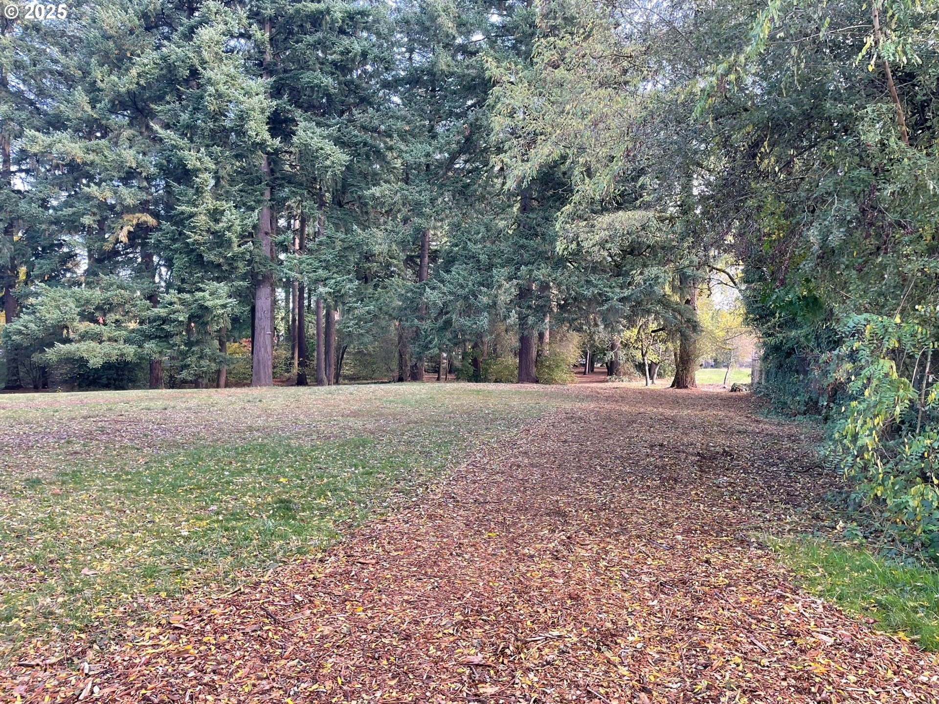 10832 Southeast Stephens Street Portland, OR 97216 - Photo 30 of 36 a view of outdoor space and yard