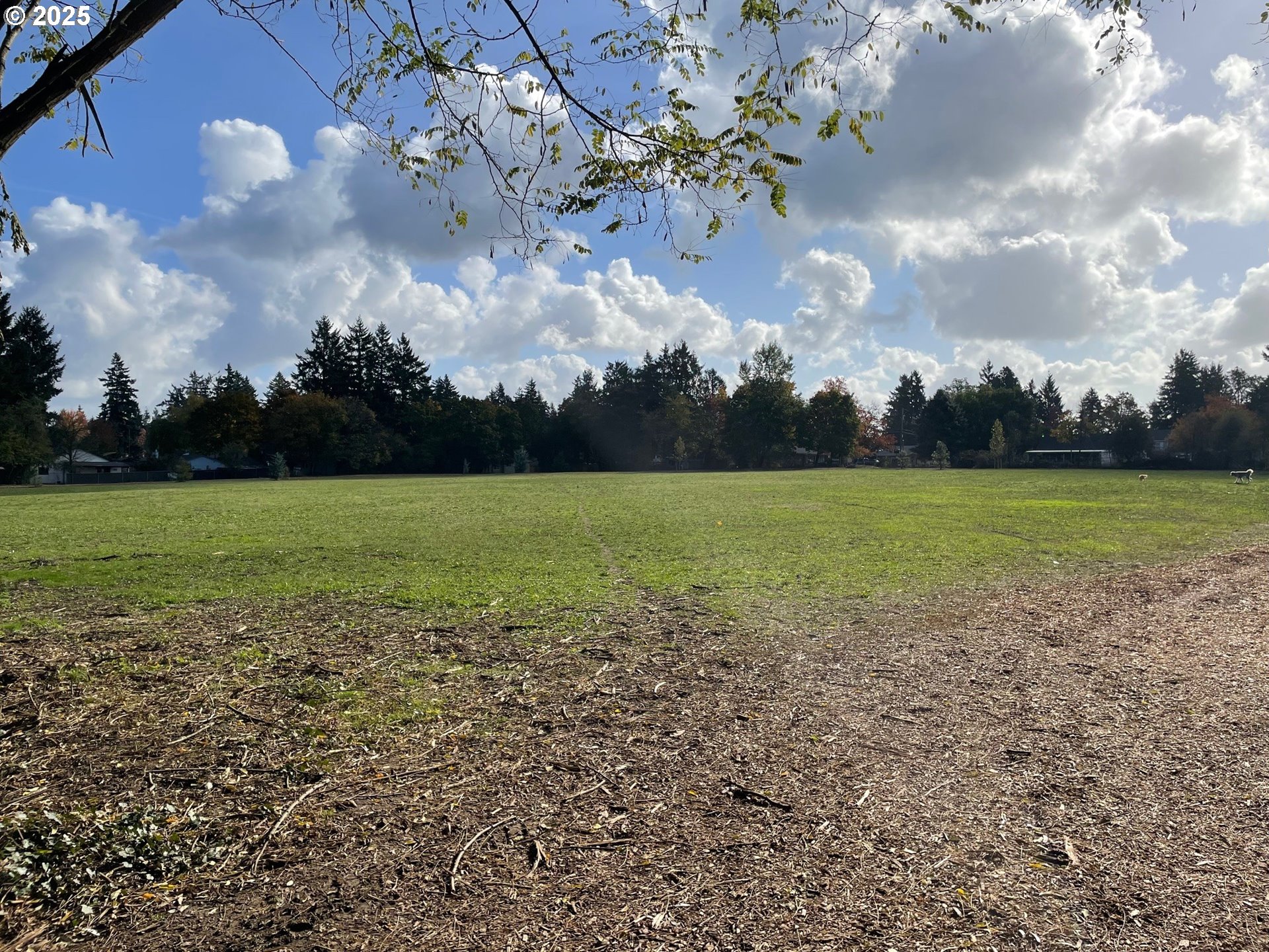 10832 Southeast Stephens Street Portland, OR 97216 - Photo 31 of 36 a view of a golf course with a lake