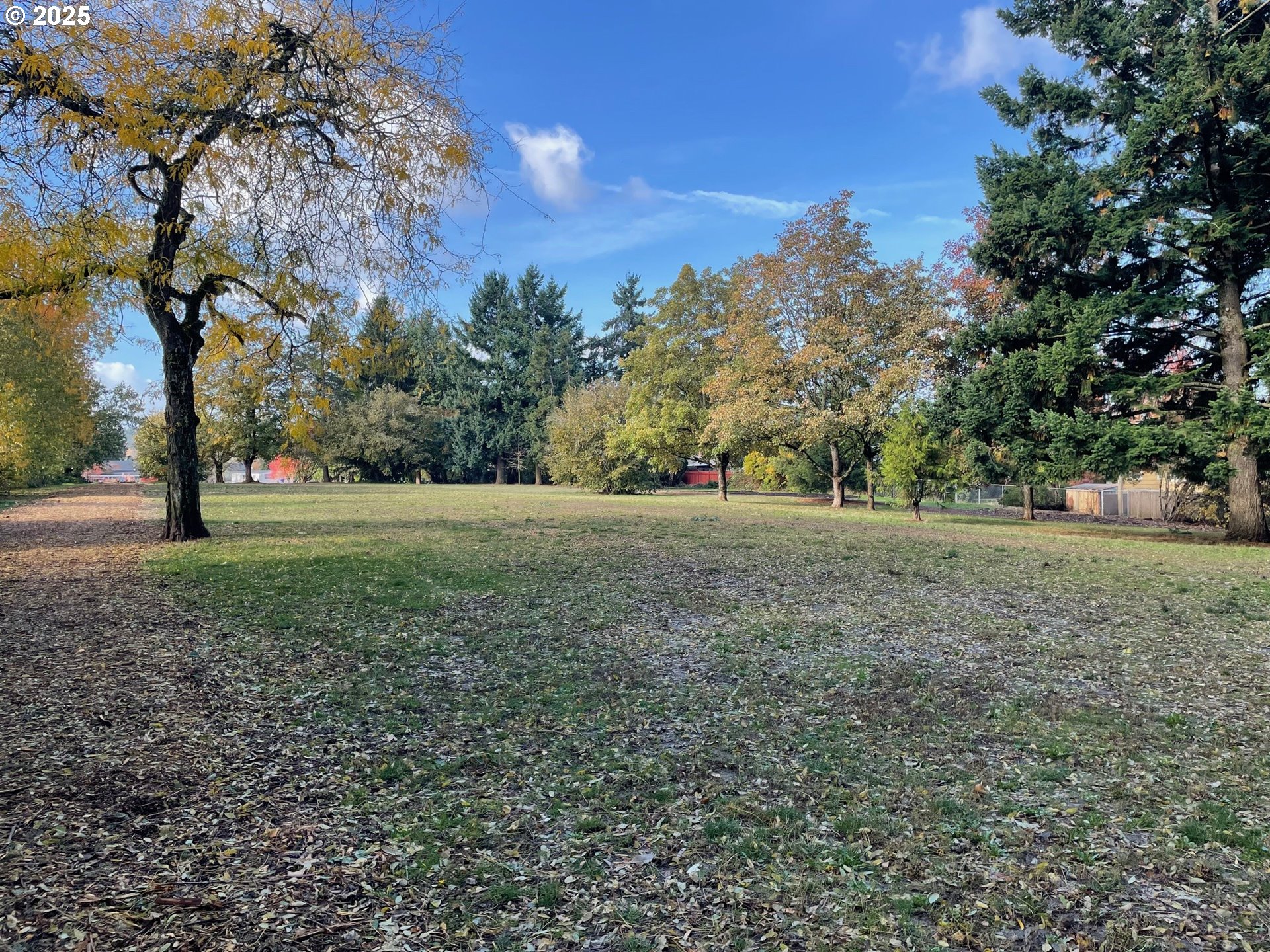 10832 Southeast Stephens Street Portland, OR 97216 - Photo 32 of 36 a view of green field with trees in the background