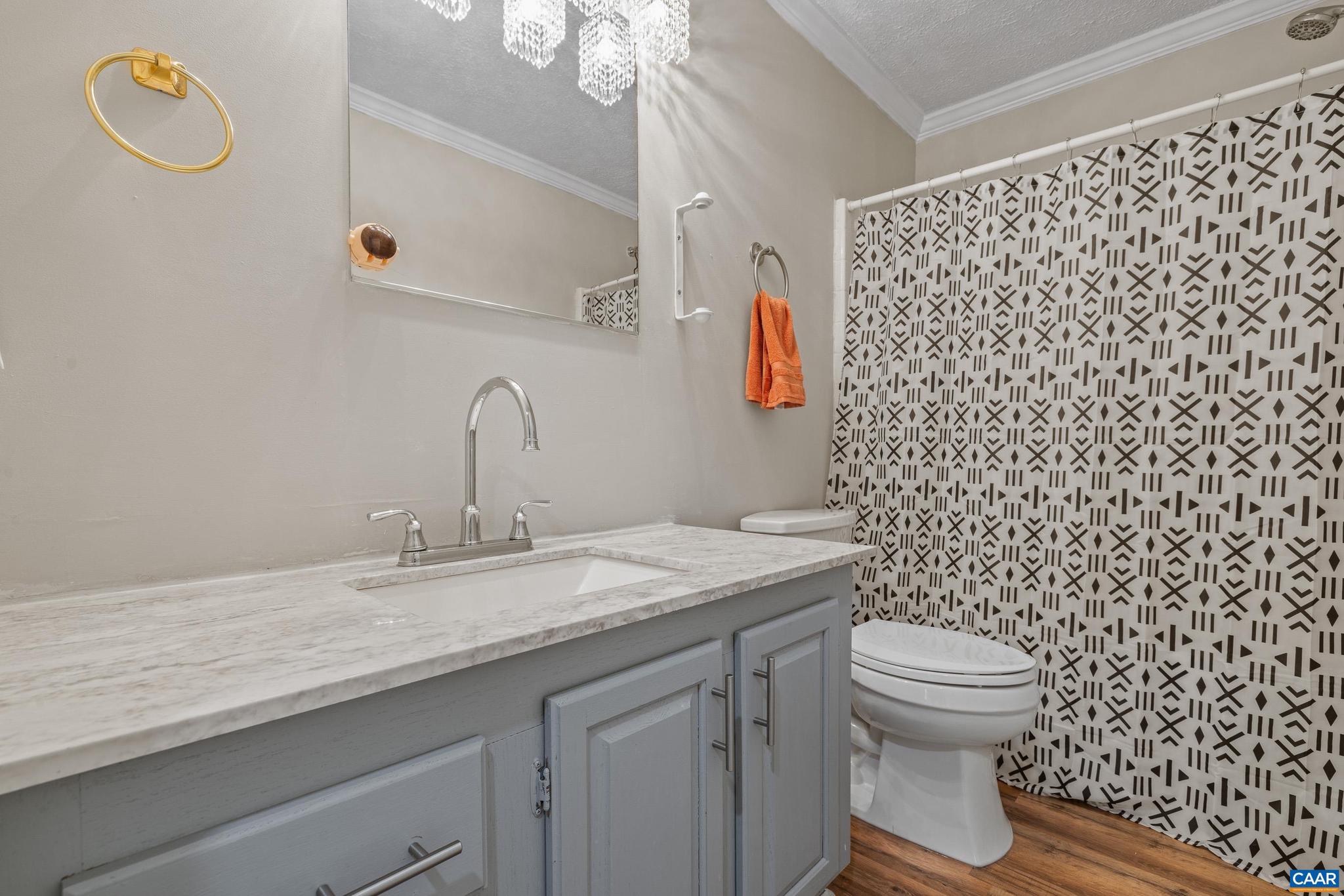 3151 Waldrop Church Road Louisa, VA 23093 - Photo 26 of 42 a bathroom with a granite countertop sink and a toilet