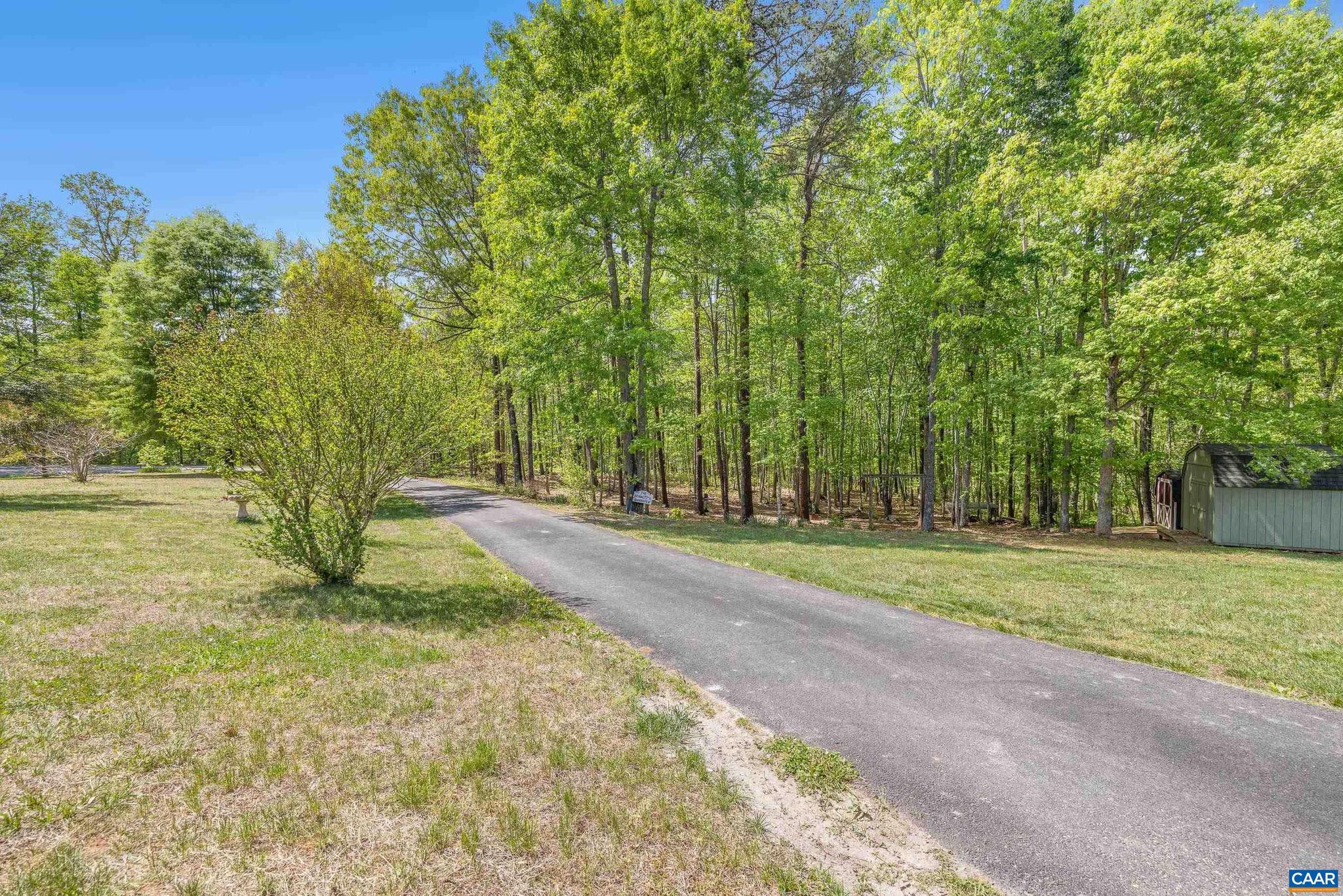 3151 Waldrop Church Road Louisa, VA 23093 - Photo 42 of 42 a view of a yard with of trees