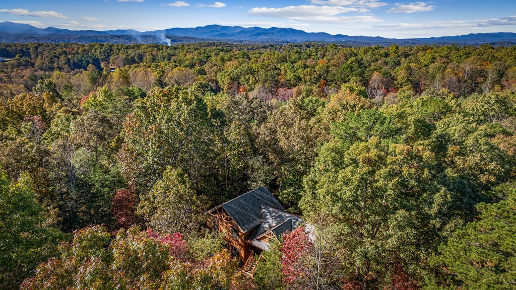 196 Ethan Wilson Way Morganton, GA 30560 - Photo 27 of 66 a view of a field with a forest