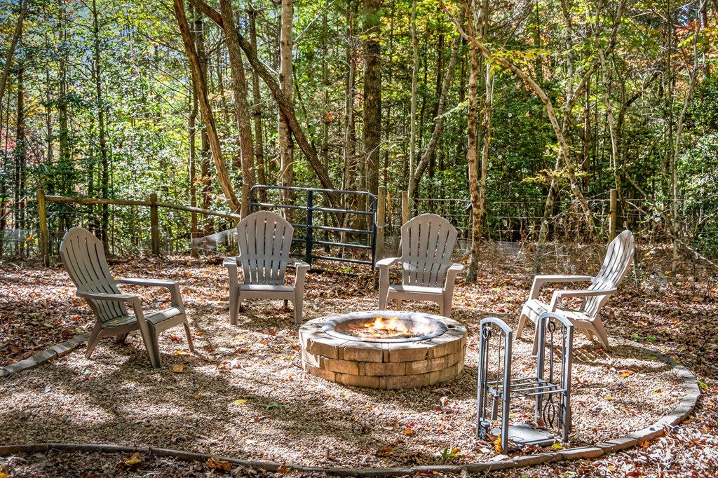 196 Ethan Wilson Way Morganton, GA 30560 - Photo 3 of 66 a view of a patio with table and chairs potted plants and large tree