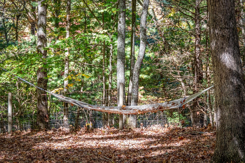 196 Ethan Wilson Way Morganton, GA 30560 - Photo 39 of 66