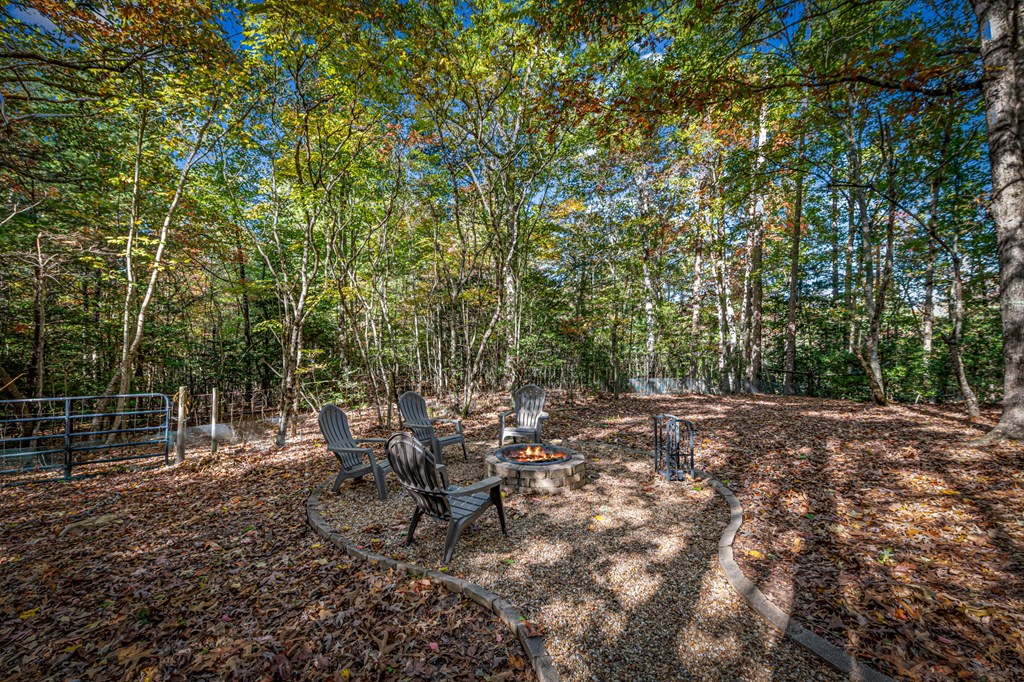196 Ethan Wilson Way Morganton, GA 30560 - Photo 41 of 66 a view of a forest with lawn chairs