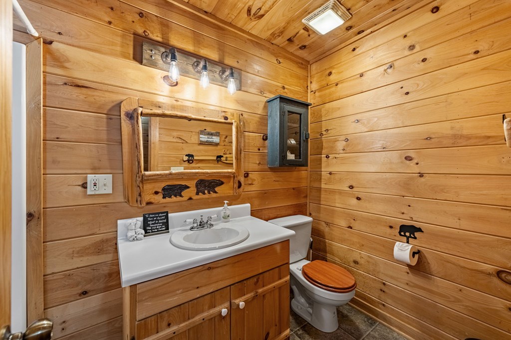 196 Ethan Wilson Way Morganton, GA 30560 - Photo 52 of 66 a bathroom with a sink a toilet and shower