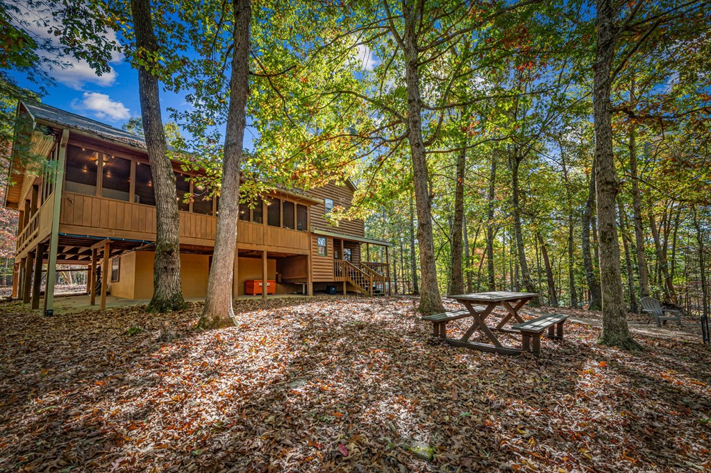 196 Ethan Wilson Way Morganton, GA 30560 - Photo 63 of 66 a view of a house with backyard