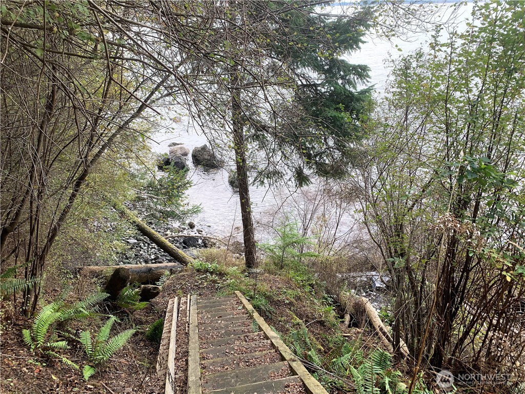 a view of an outdoor space