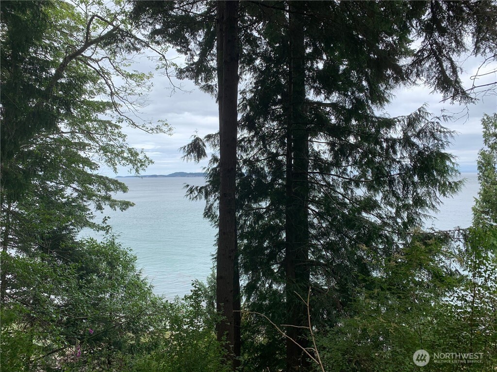 547 Raccoon Point Road Orcas Island, WA 98245 - Photo 2 of 8 a view of lake from a tree