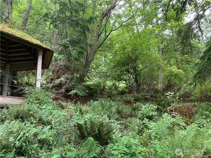a view of a house in a forest