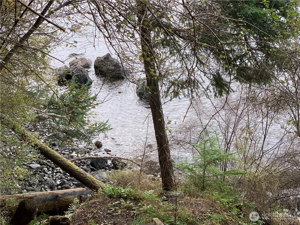547 Raccoon Point Road Orcas Island, WA 98245 - Photo 7 of 8 a view of a backyard of the house