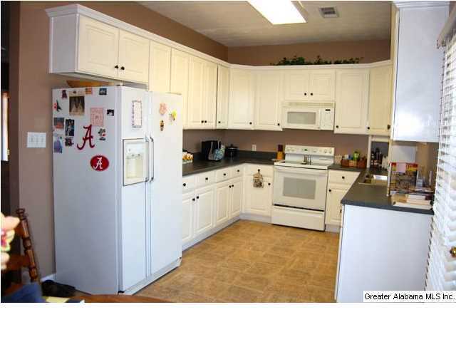 55 County Road 797 Clanton, AL 35045 - Photo 4 of 24