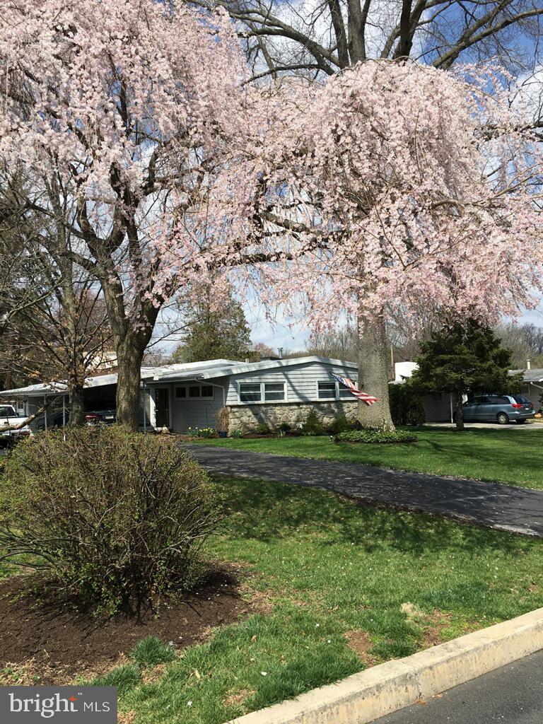549 Paddock Road Ambler, PA 19002 - Photo 2 of 43 Springtime