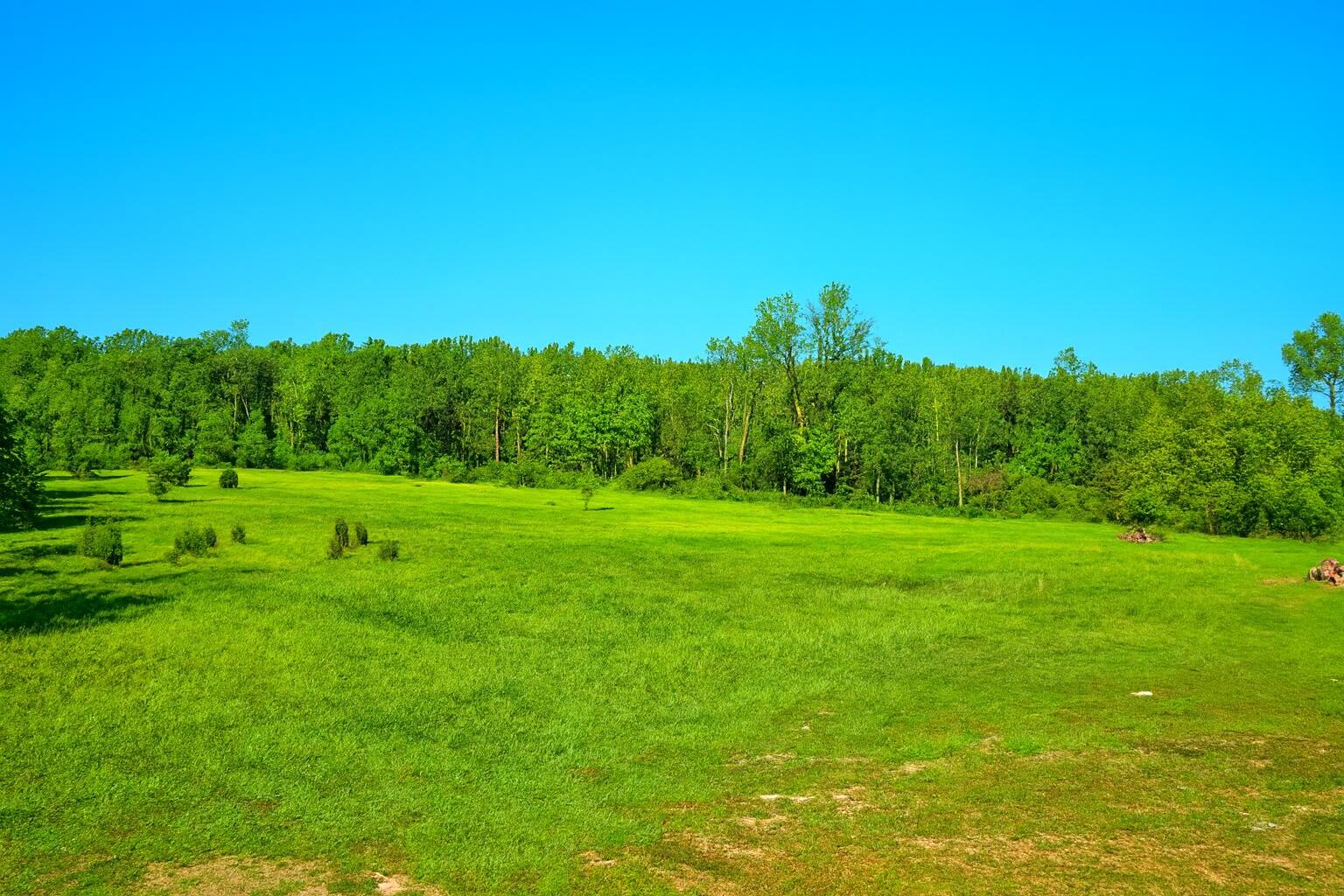 Lot D Ewing Road Lawton, MI 49065 - Photo 3 of 5 Copilot_20260204_142130