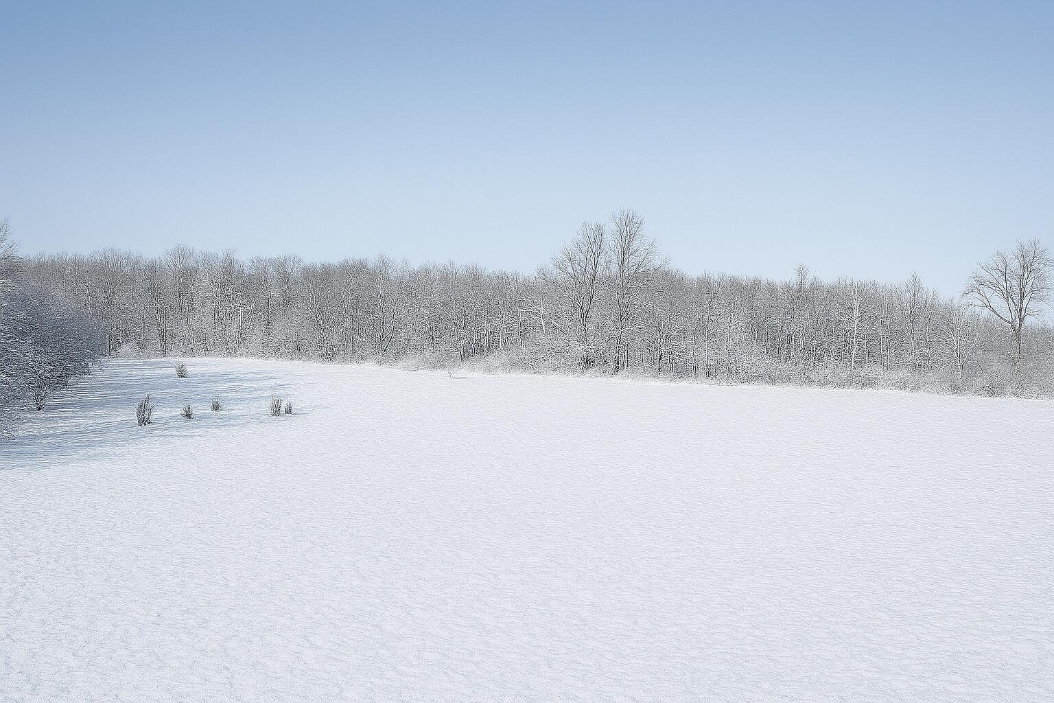 Lot D Ewing Road Lawton, MI 49065 - Photo 5 of 5 Copilot_20260204_143557