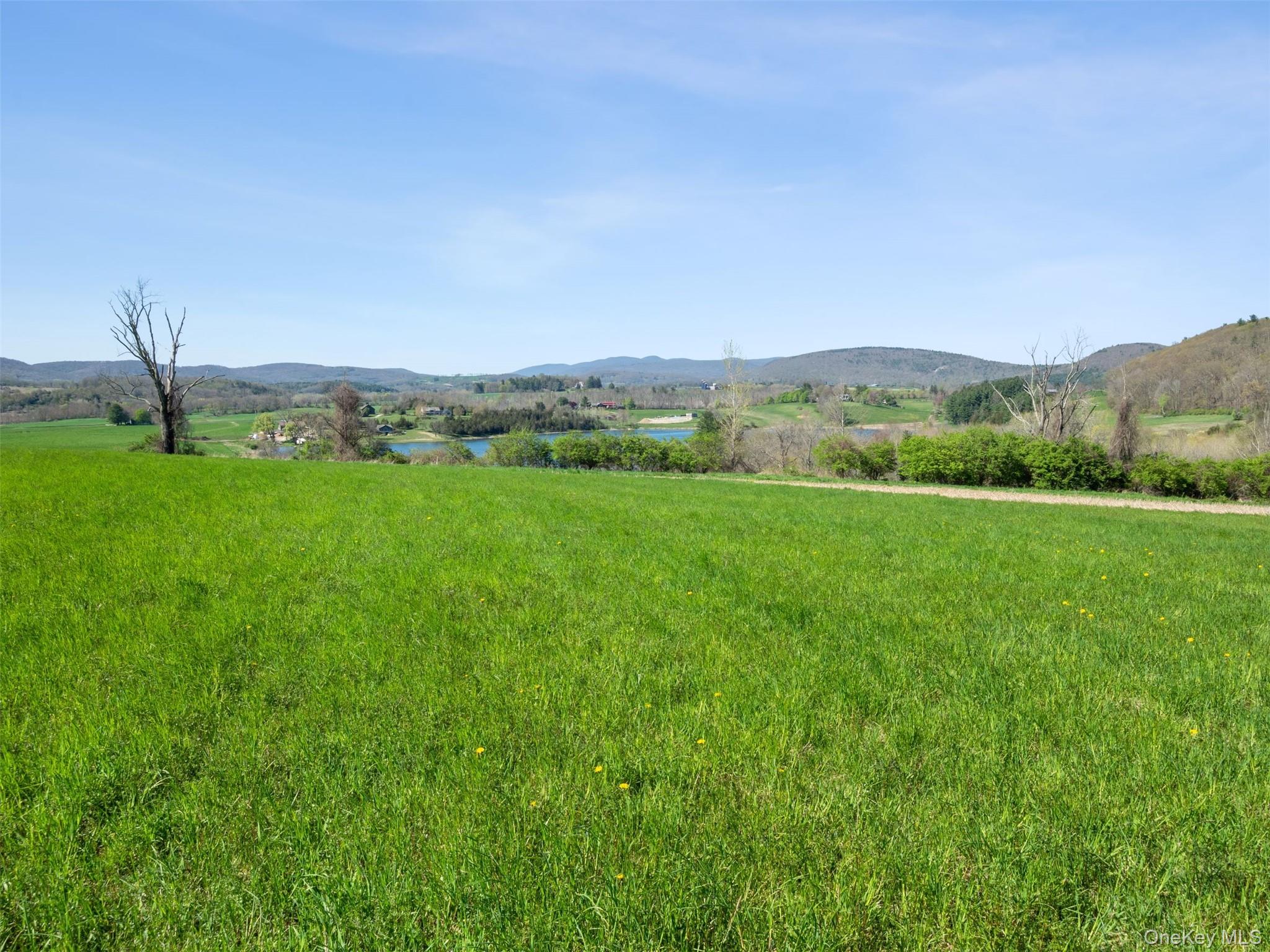 156 Sharon Station Road Amenia, NY 12501 - Photo 12 of 18 a view of a lush green outdoor space with a mountain view