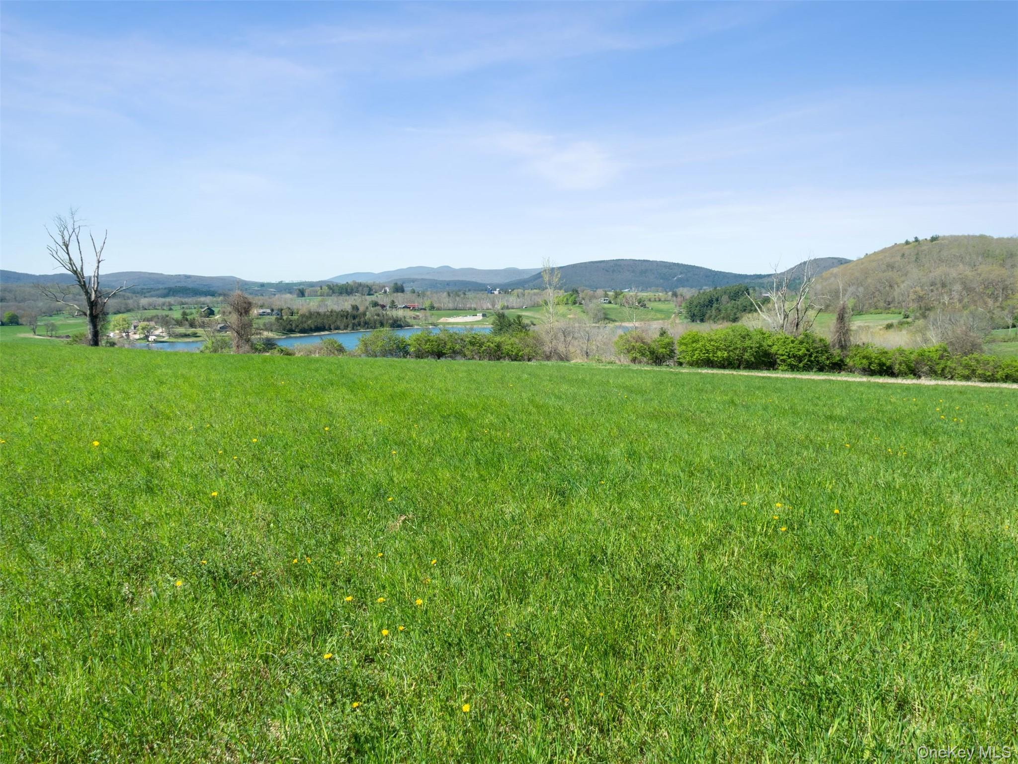 156 Sharon Station Road Amenia, NY 12501 - Photo 14 of 18 a view of an mountain with a garden