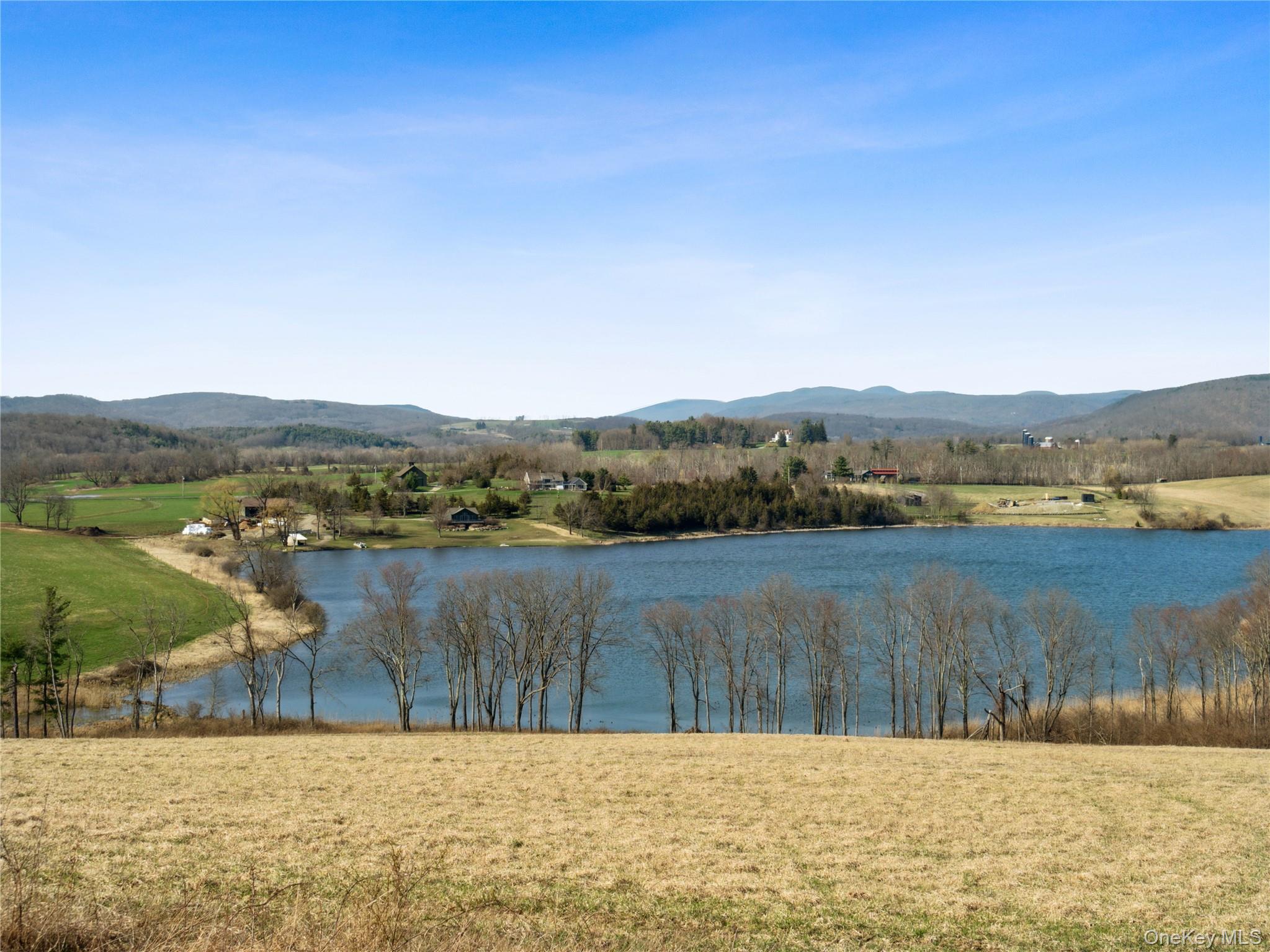 156 Sharon Station Road Amenia, NY 12501 - Photo 15 of 18 a view of lake with mountain