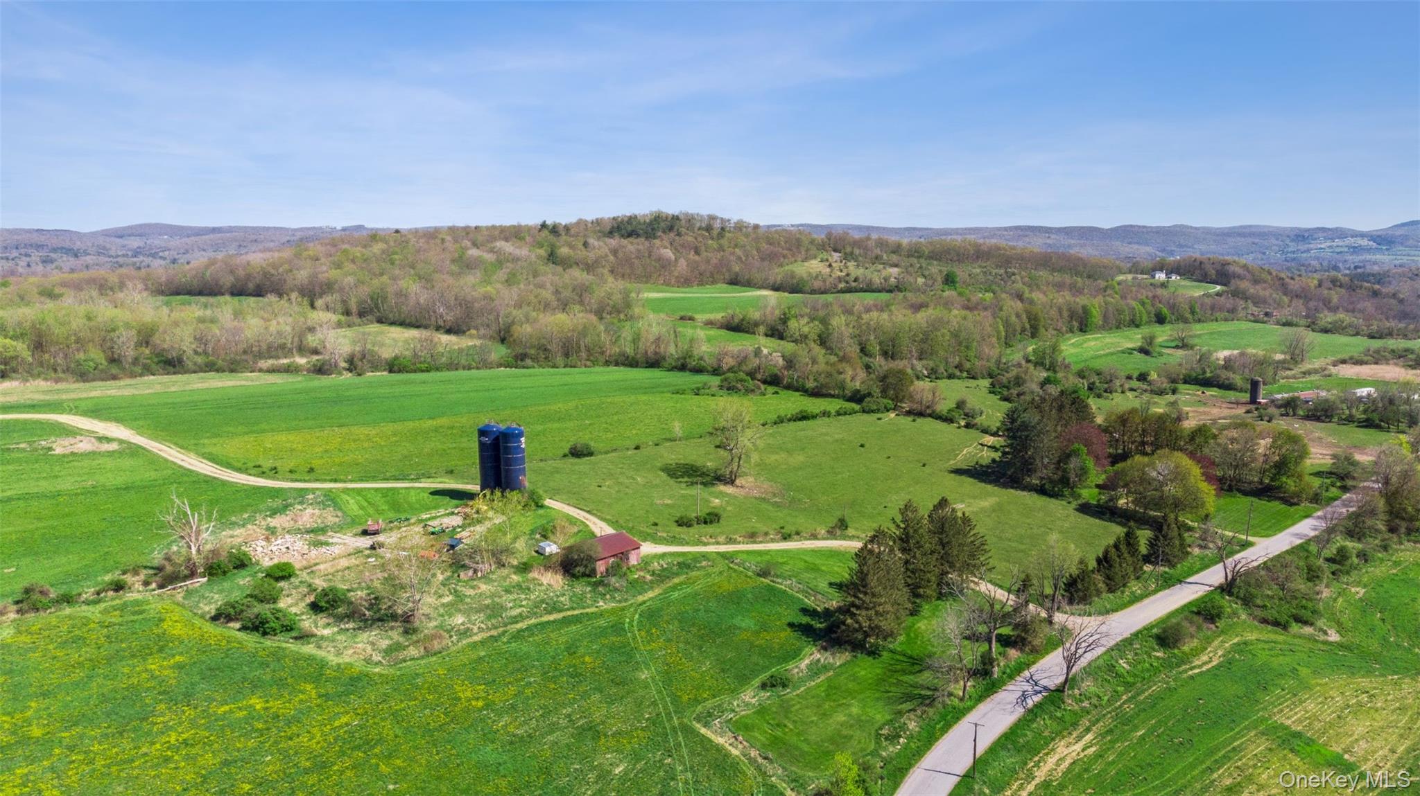 156 Sharon Station Road Amenia, NY 12501 - Photo 2 of 18 a view of a lush green field