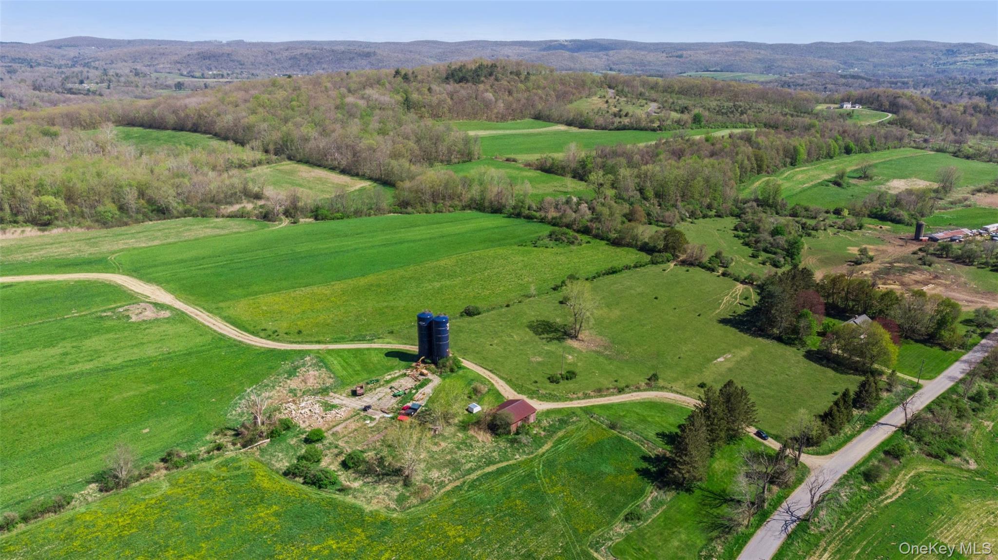 156 Sharon Station Road Amenia, NY 12501 - Photo 9 of 18 a view of a lush green hillside and houses