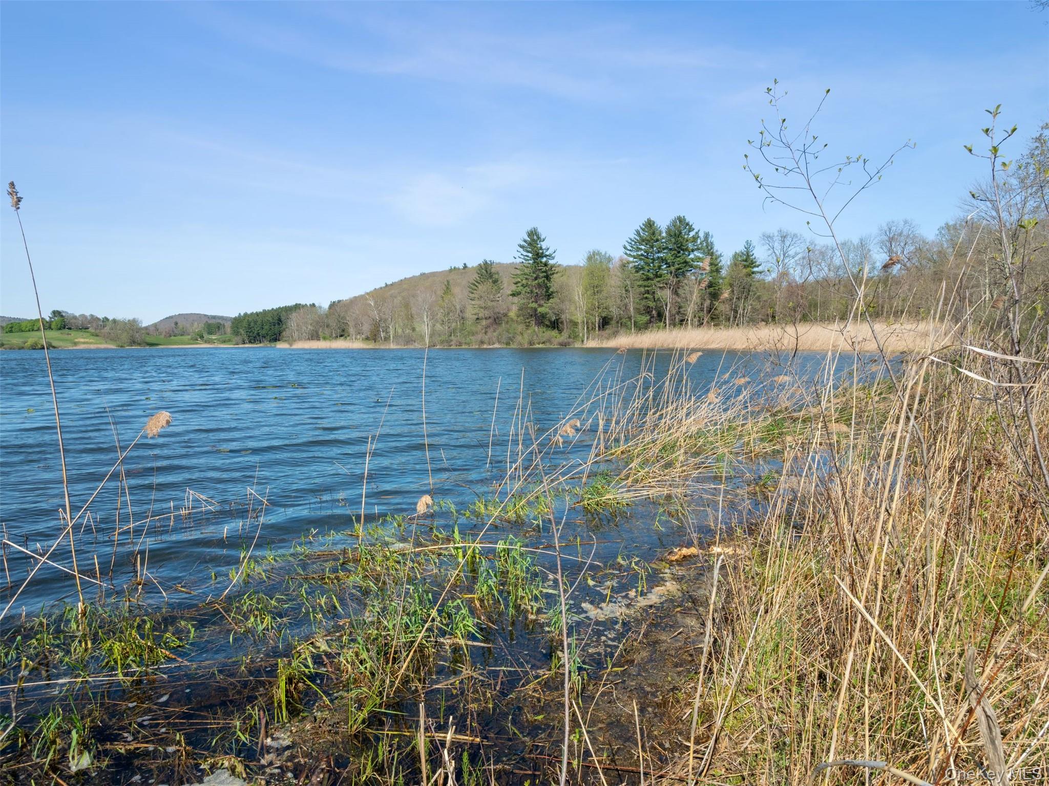 156 Sharon Station Road Amenia, NY 12501 - Photo 10 of 18 a view of a lake and mountain view