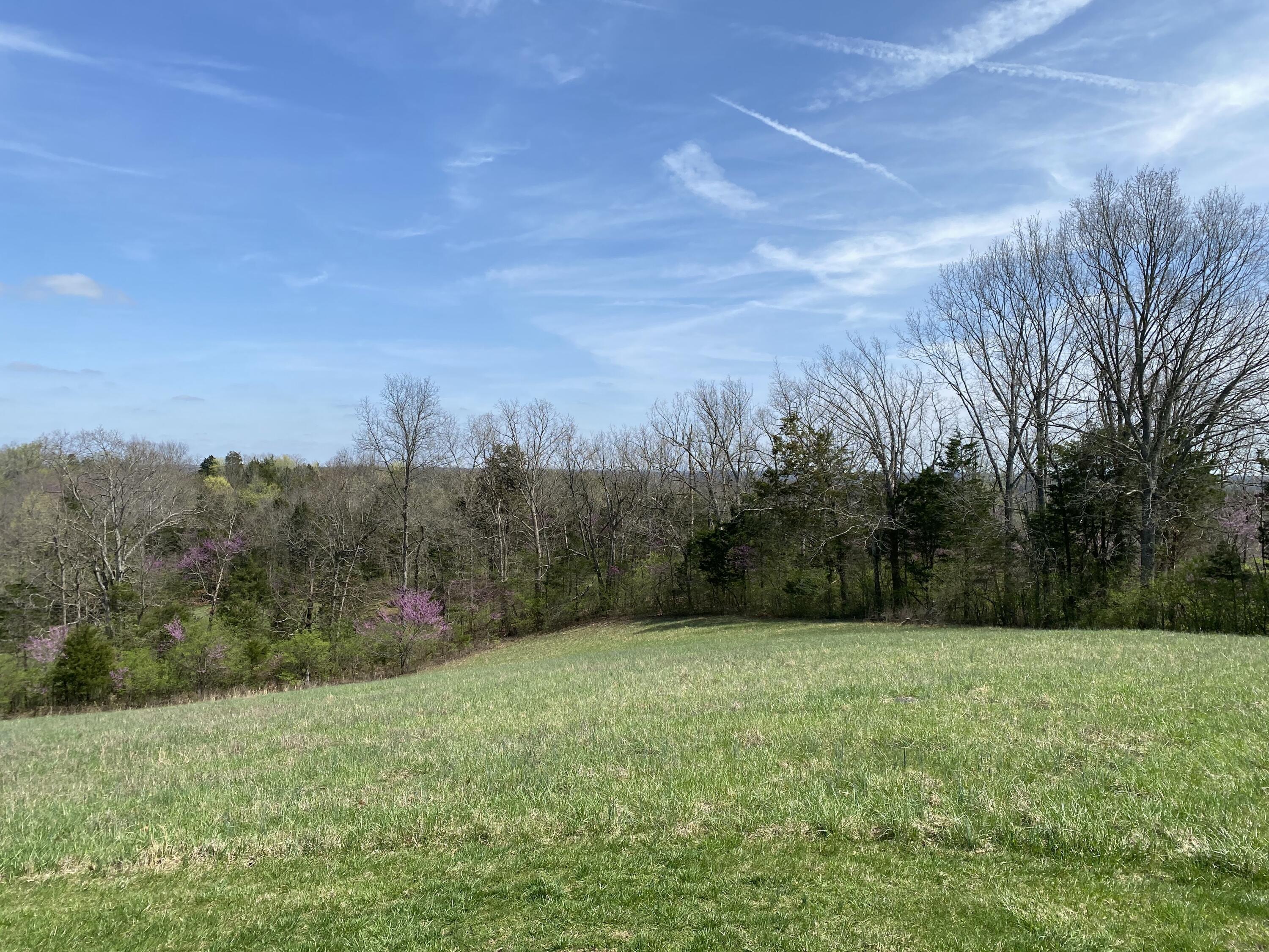 317 Short Road Salvisa, KY 40372 - Photo 5 of 47 IMG_0208