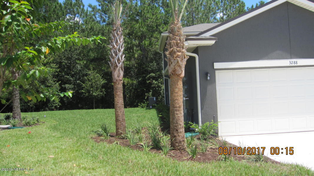 3288 Chestnut Ridge Way Orange Park, FL 32065 - Photo 29 of 31 Side view