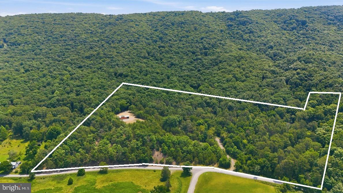 3300 Foxes Hollow Road Romney, WV 26757 - Photo 7 of 59