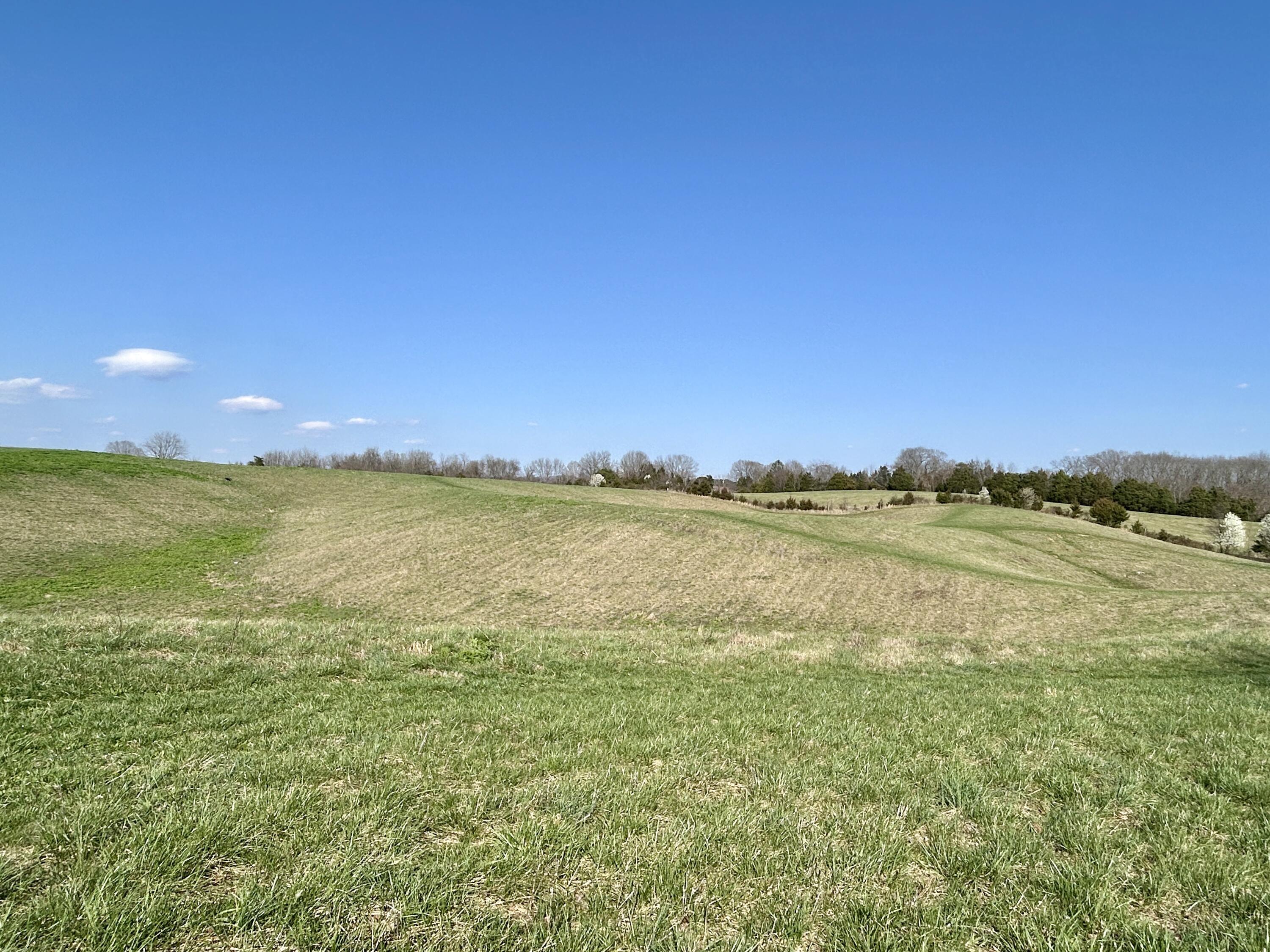 1178 Jacksboro Road Bronston, KY 42518 - Photo 10 of 13 IMG_E8962