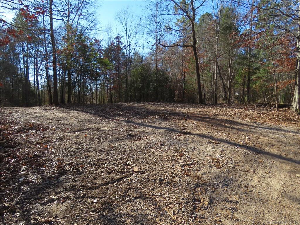 1466 George Dunn Road Rock Hill, SC 29730 - Photo 1 of 13 a view of a yard with trees