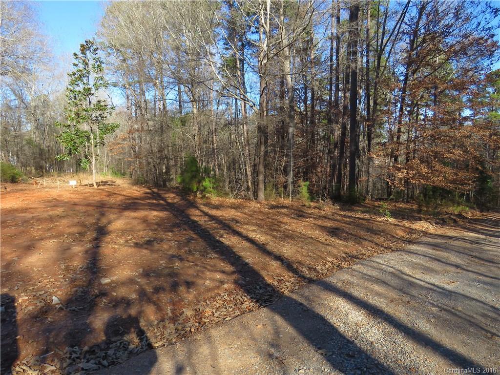 1466 George Dunn Road Rock Hill, SC 29730 - Photo 2 of 13 a view of outdoor space with trees