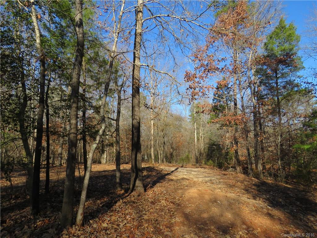 1466 George Dunn Road Rock Hill, SC 29730 - Photo 11 of 13 a view of a backyard of the house