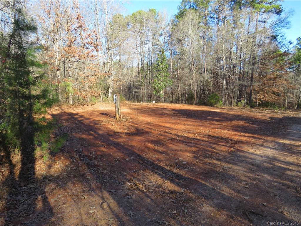 1466 George Dunn Road Rock Hill, SC 29730 - Photo 12 of 13 a view of a yard with a tree