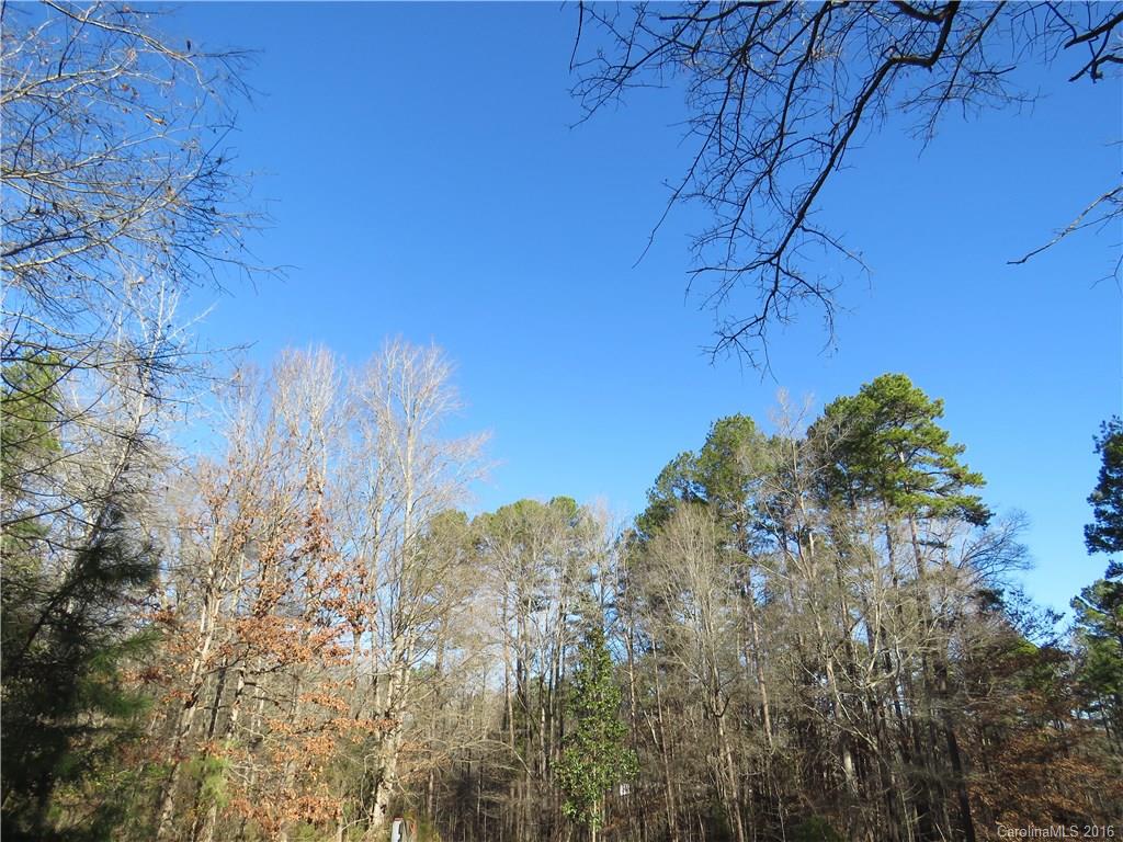 1466 George Dunn Road Rock Hill, SC 29730 - Photo 13 of 13 a view of a yard with large trees