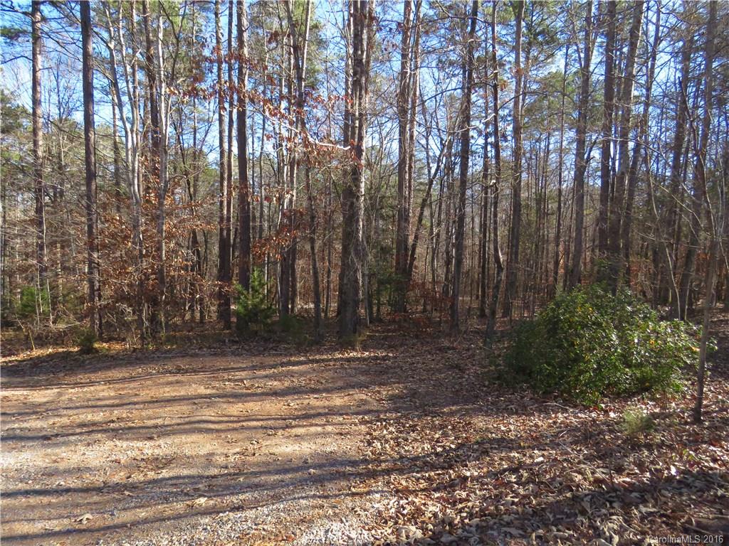 1466 George Dunn Road Rock Hill, SC 29730 - Photo 3 of 13 a view of a yard with large trees