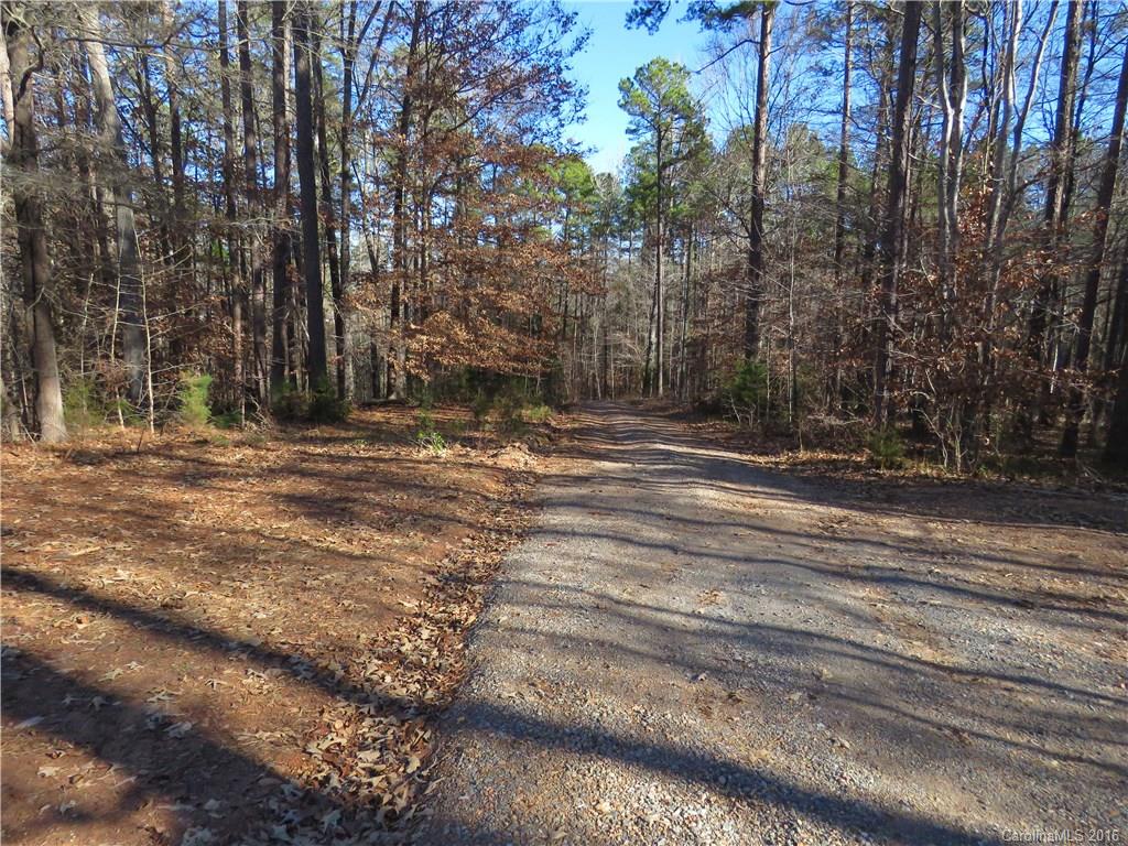 1466 George Dunn Road Rock Hill, SC 29730 - Photo 5 of 13 a backyard of a house with lots of green space