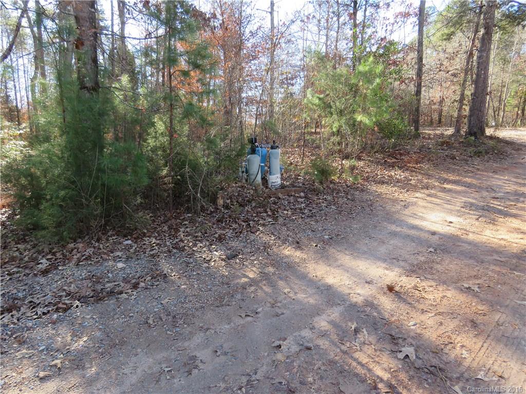 1466 George Dunn Road Rock Hill, SC 29730 - Photo 6 of 13 a backyard of a house with lots of green space