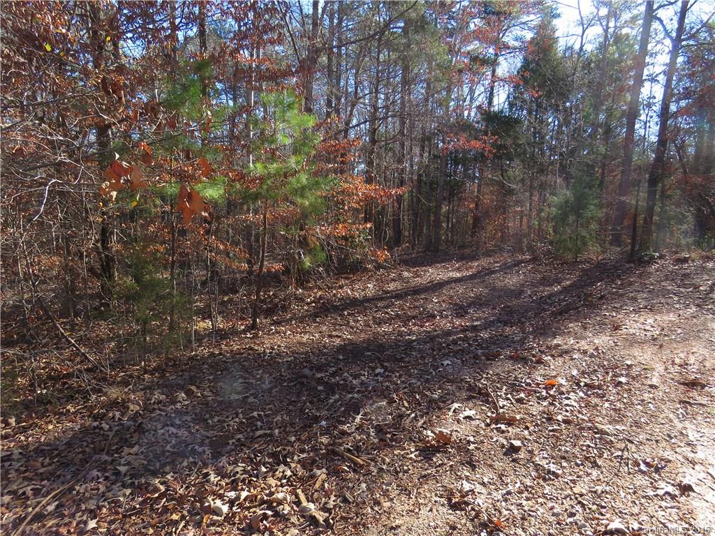 1466 George Dunn Road Rock Hill, SC 29730 - Photo 8 of 13 a view of a yard with large trees