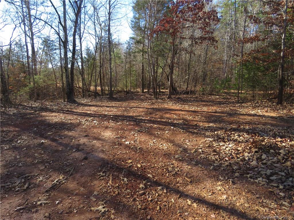 1466 George Dunn Road Rock Hill, SC 29730 - Photo 10 of 13 a view of outdoor space with trees
